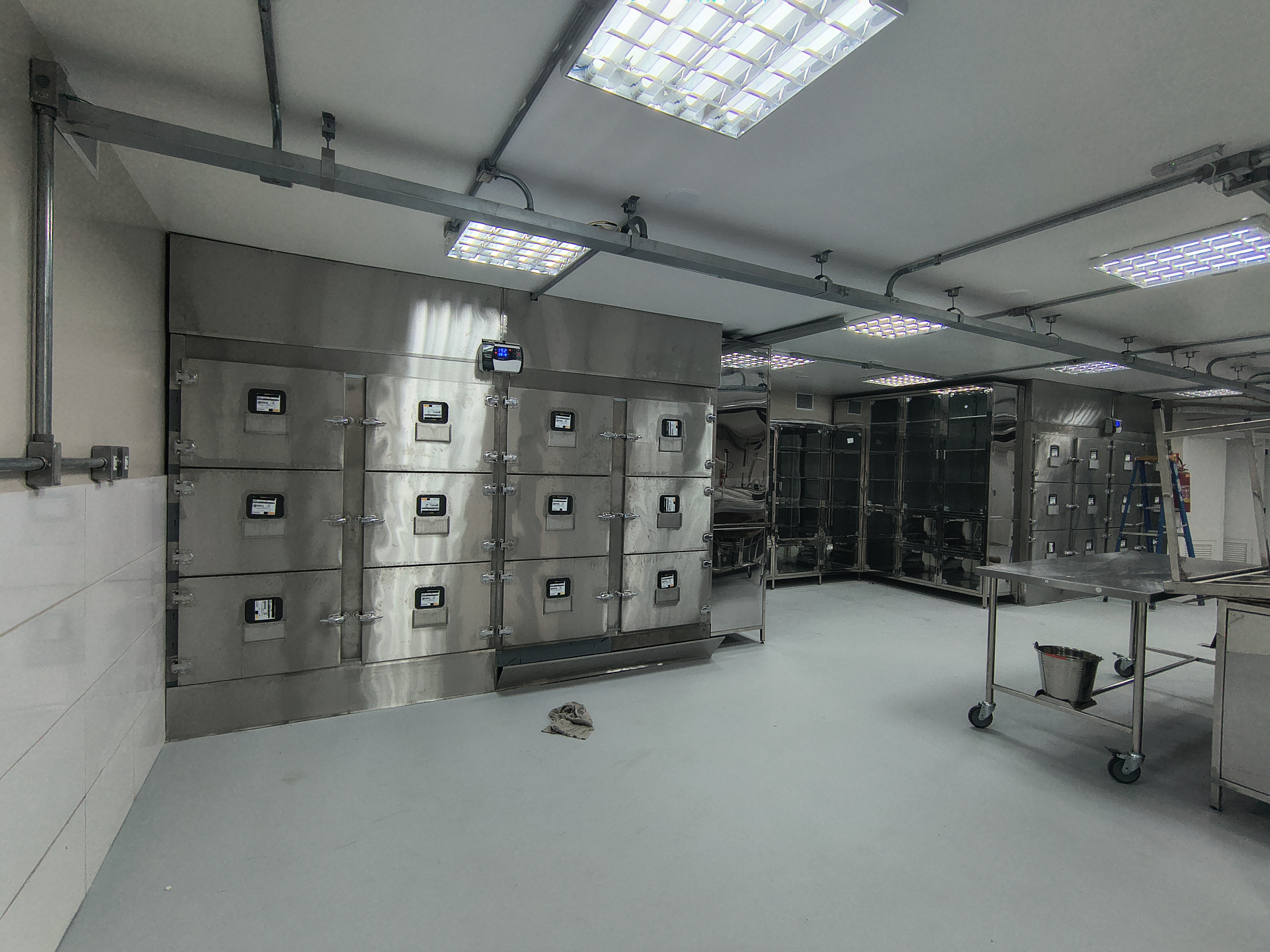 anat10.jpg - 2,92 MB