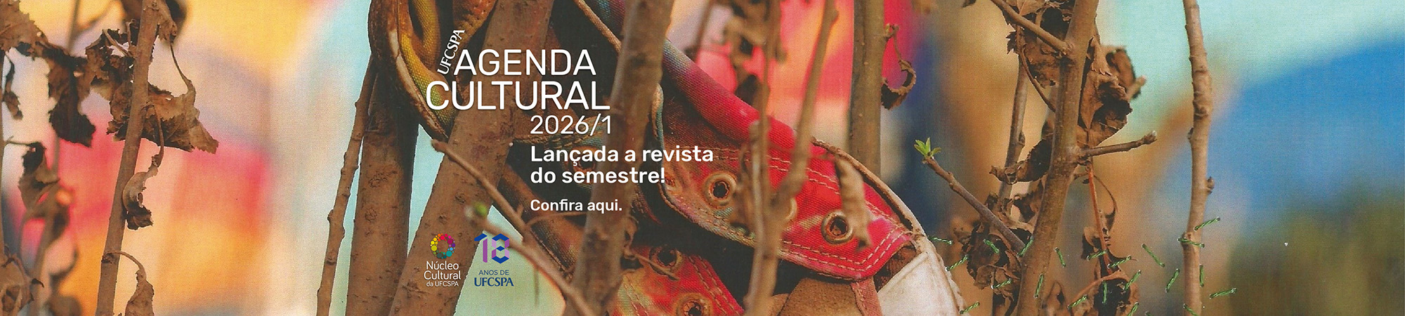 Revista Agenda Cultural 2026/1